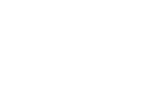 AI solution for vascular diseases